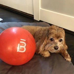 Meet your Posher, Suzanne